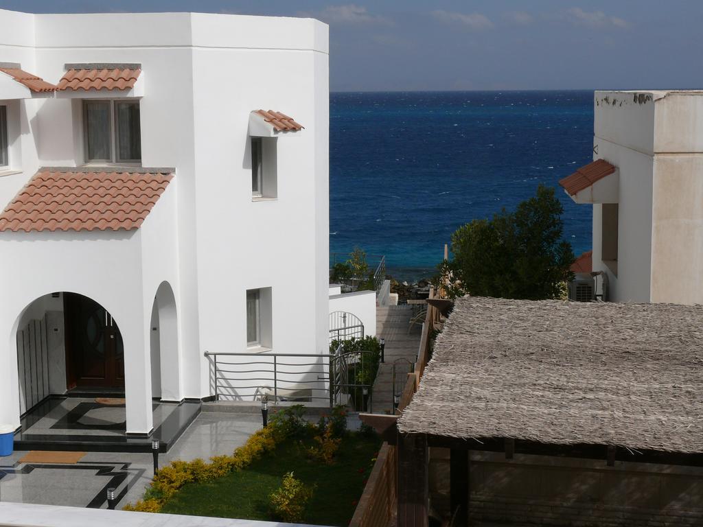 Apartament Mini-studio With Free Private